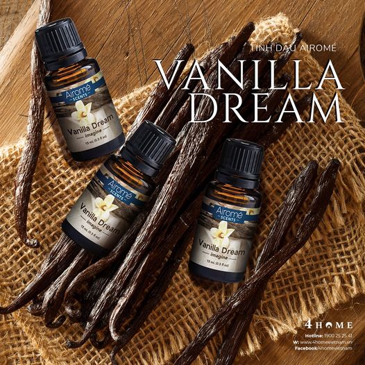 TINH DẦU VANILLA DREAM SCENTS - TẬN HƯỞNG PHÚT GIÂY THƯ GIÃN BÊN MÁI ẤM BÌNH YÊN