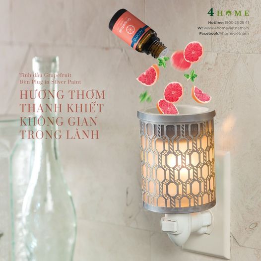 TINH DẦU GRAPEFRUIT – HƯƠNG THƠM THANH MÁT CHO KHÔNG GIAN SỐNG TRONG LÀNH TINH DẦU GRAPEFRUIT – HƯƠNG THƠM THANH MÁT CHO KHÔNG GIAN SỐNG TRONG LÀNH
