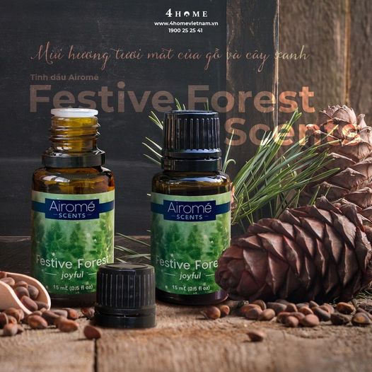 TINH DẦU FESTIVE FOREST SCENTS - MÙI HƯƠNG CỦA CÁNH RỪNG XANH BIẾC