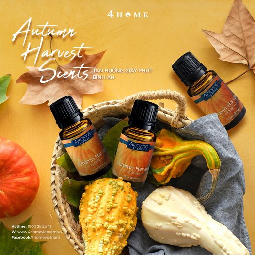 🍁CÙNG AUTUMN HARVEST TẬN HƯỞNG GIÂY PHÚT BÌNH YÊN🍁