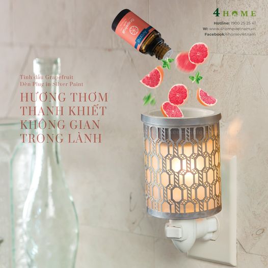 HƯƠNG THƠM THANH MÁT CHO KHÔNG GIAN SỐNG TRONG LÀNH HƯƠNG THƠM THANH MÁT CHO KHÔNG GIAN SỐNG TRONG LÀNH