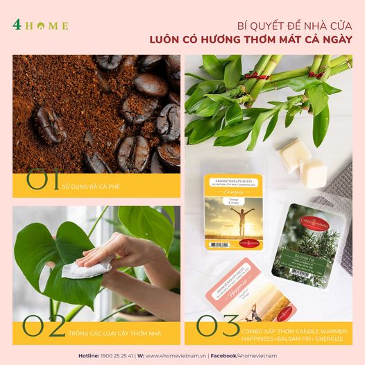 BÍ QUYẾT ĐỂ NHÀ CỬA LUÔN THƠM MÁT CẢ NGÀY BÍ QUYẾT ĐỂ NHÀ CỬA LUÔN THƠM MÁT CẢ NGÀY