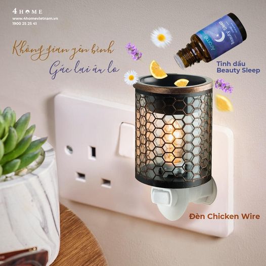TINH DẦU BEAUTY SLEEP - HƯƠNG THƠM BÌNH YÊN CHO GIẤC NGỦ NGON TINH DẦU BEAUTY SLEEP - HƯƠNG THƠM BÌNH YÊN CHO GIẤC NGỦ NGON