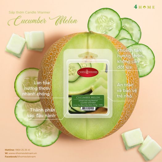 HƯƠNG THƠM TƯƠI MÁT từ SÁP THƠM CANDLE WARMER CUCUMBER MELON