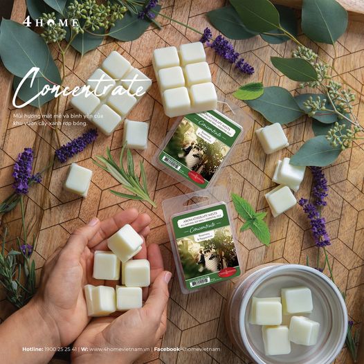 CHÀO BUỔI SÁNG THANH MÁT và BÌNH YÊN CHÀO BUỔI SÁNG THANH MÁT và BÌNH YÊN
