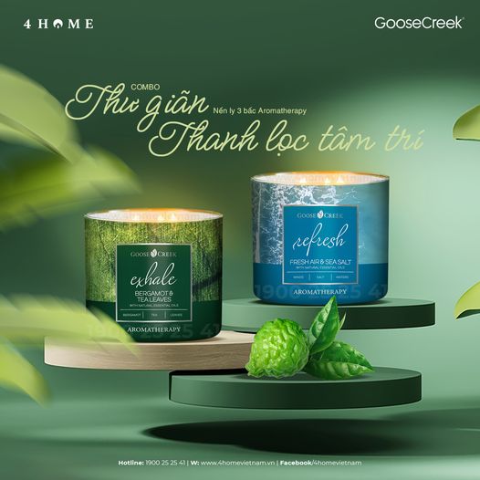 Combo thư giãn, thanh lọc tâm trí Combo thư giãn, thanh lọc tâm trí