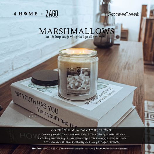 Marshmallows - Sự kết hợp tuyệt vời giữa kẹo dẻo và vani