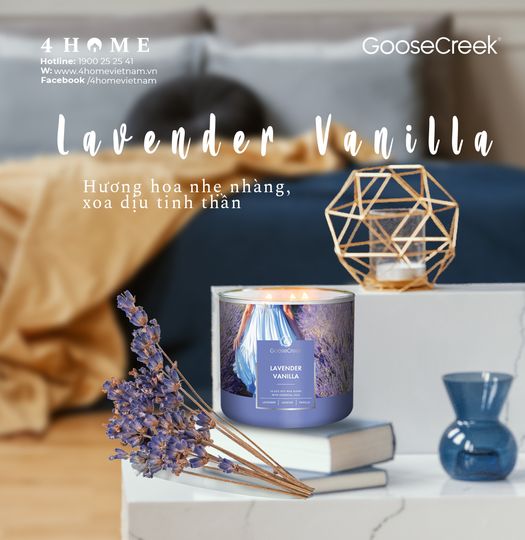 Hương hoa nhẹ nhàng, xoa dịu tinh thần Hương hoa nhẹ nhàng, xoa dịu tinh thần