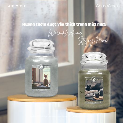 Hương thơm được yêu thích trong mùa mưa Hương thơm được yêu thích trong mùa mưa