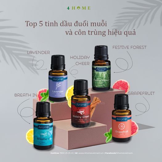 TOP 5 Tinh dầu đuổi muỗi và côn trùng hiệu quả