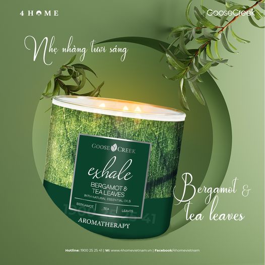 Nhẹ nhàng và tươi sáng Nhẹ nhàng và tươi sáng