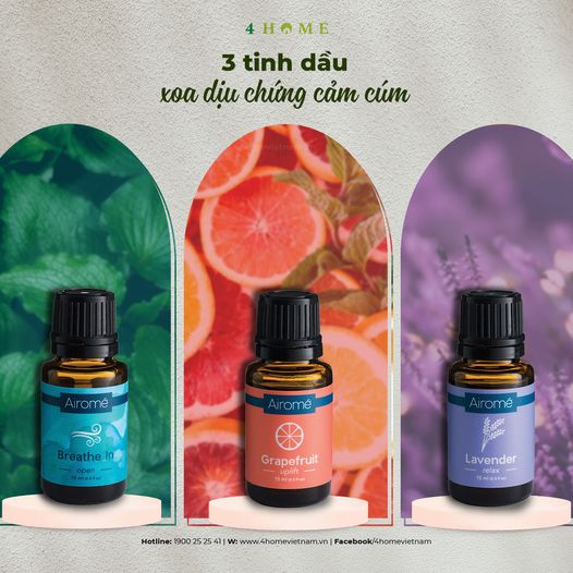 3 Tinh dầu xoa dịu chứng cảm cúm 3 Tinh dầu xoa dịu chứng cảm cúm