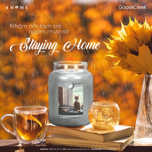 Nhâm nhi tách trà xoa dịu tâm trạng với STAYING HOME Nhâm nhi tách trà xoa dịu tâm trạng với STAYING HOME