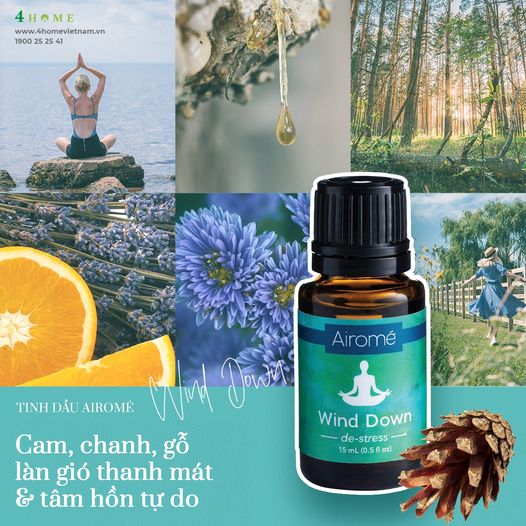 Làn gió mát xoa dịu tinh thần Làn gió mát xoa dịu tinh thần