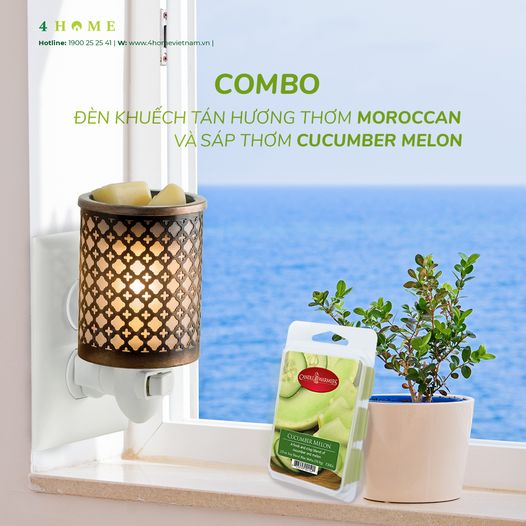 Combo khuếch tán hương thơm sảng khoái tươi mát cho ngày nóng bức