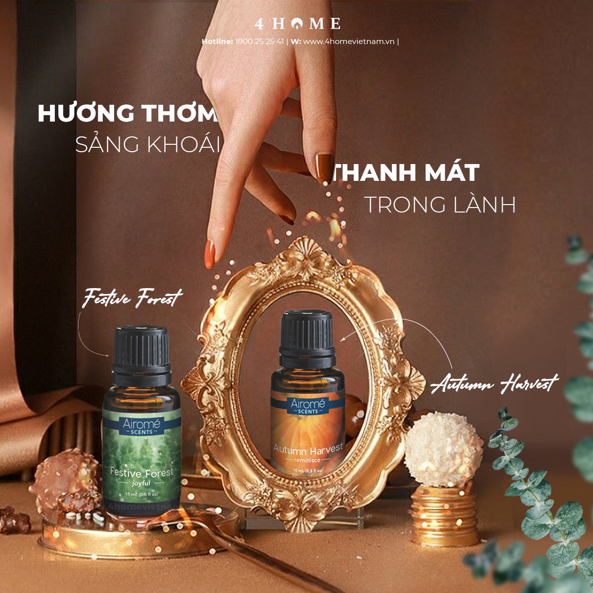 SỰ KẾT HỢP TẠO NÊN HƯƠNG THƠM SẢNG KHOÁI và TRONG LÀNH