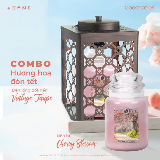 COMBO HƯƠNG HOA ĐÓN TẾT SANG