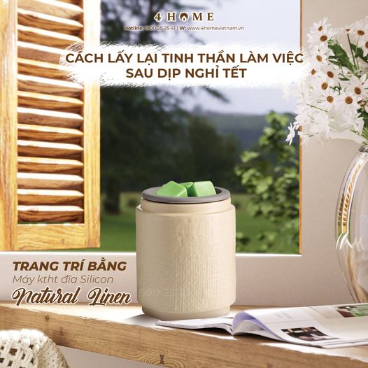 CÁCH LẤY LẠI TINH THẦN LÀM VIỆC SAU TẾT CÁCH LẤY LẠI TINH THẦN LÀM VIỆC SAU TẾT