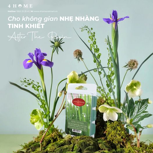 CHO KHÔNG GIAN NHẸ NHÀNG và TINH KHIẾT CHO KHÔNG GIAN NHẸ NHÀNG và TINH KHIẾT