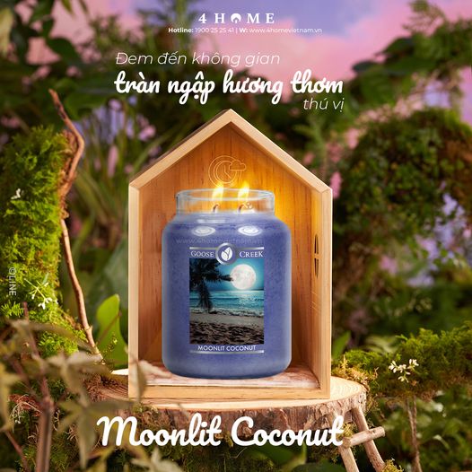 ĐEM ĐẾN KHÔNG GIAN TRÀN NGẬP HƯƠNG THƠM THÚ VỊ ĐEM ĐẾN KHÔNG GIAN TRÀN NGẬP HƯƠNG THƠM THÚ VỊ