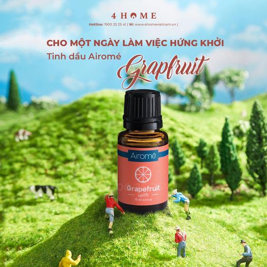 Cho một ngày làm việc hứng khởi Cho một ngày làm việc hứng khởi