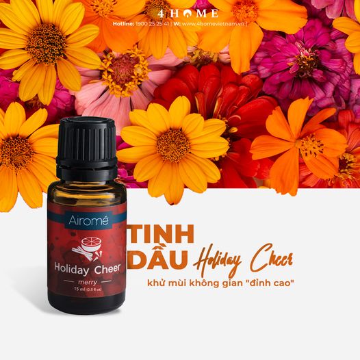 Tinh dầu HOLIDAY CHEER - khử mùi không gian Tinh dầu HOLIDAY CHEER - khử mùi không gian