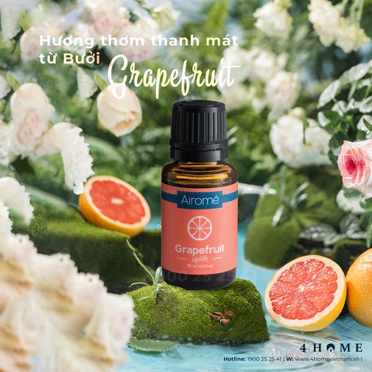 Tận hưởng hương thơm thanh mát từ Bưởi Tận hưởng hương thơm thanh mát từ Bưởi