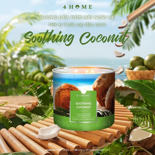 Hương dừa tươi mát ngày hè Hương dừa tươi mát ngày hè