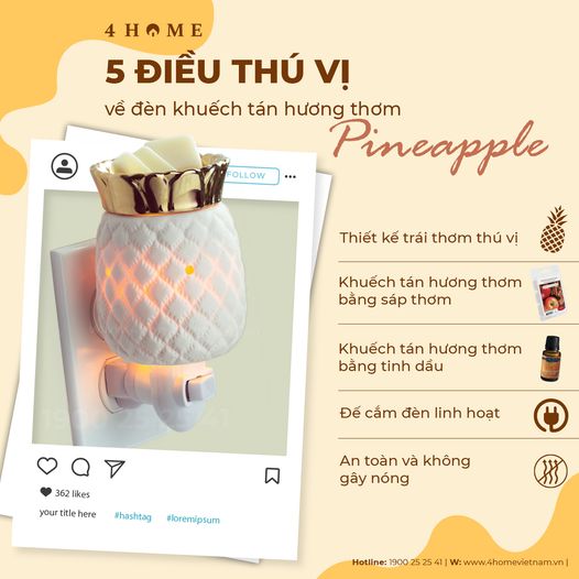 5 Điều thú vị về Đèn khuếch tán hương thơm Pineapple 5 Điều thú vị về Đèn khuếch tán hương thơm Pineapple