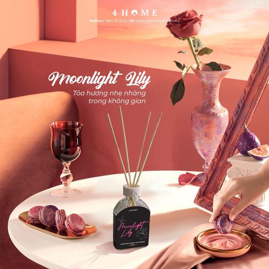 Moonlight Lily - Tỏa hương nhẹ nhàng trong không gian Moonlight Lily - Tỏa hương nhẹ nhàng trong không gian