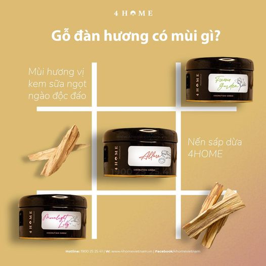 GỖ ĐÀN HƯƠNG CÓ MÙI GÌ? GỖ ĐÀN HƯƠNG CÓ MÙI GÌ?