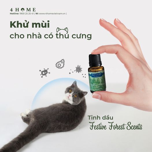 Khử mùi cho nhà có thú cưng Khử mùi cho nhà có thú cưng