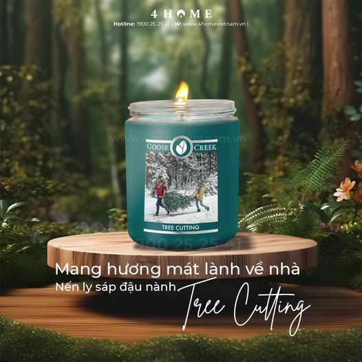 Mang hương mát lành về nhà Mang hương mát lành về nhà