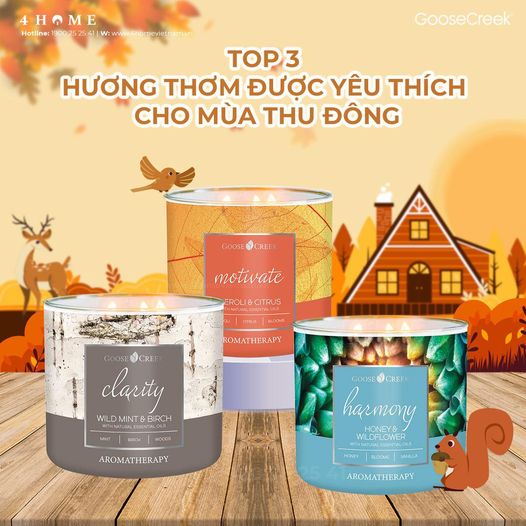TOP 3 HƯƠNG THƠM ĐƯỢC YÊU THÍCH TRONG MÙA THU ĐÔNG TOP 3 HƯƠNG THƠM ĐƯỢC YÊU THÍCH TRONG MÙA THU ĐÔNG