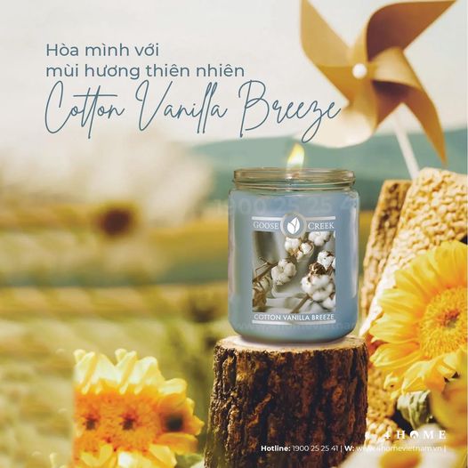 HÒA MÌNH VỚI MÙA HƯƠNG THIÊN NHIÊN COTTON VANILLA BREEZE HÒA MÌNH VỚI MÙA HƯƠNG THIÊN NHIÊN COTTON VANILLA BREEZE