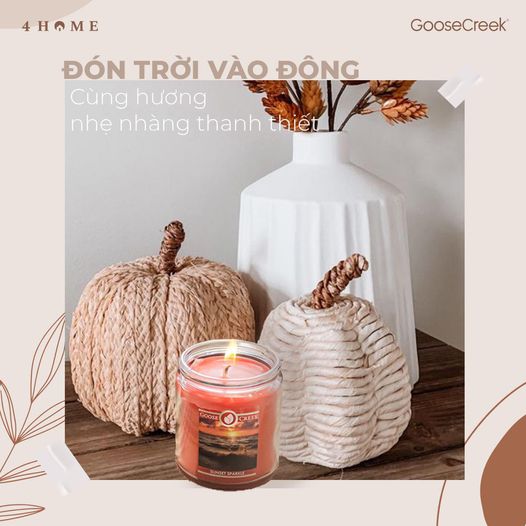 Đón trời vào đông cùng hương nhẹ nhàng thanh khiết Đón trời vào đông cùng hương nhẹ nhàng thanh khiết