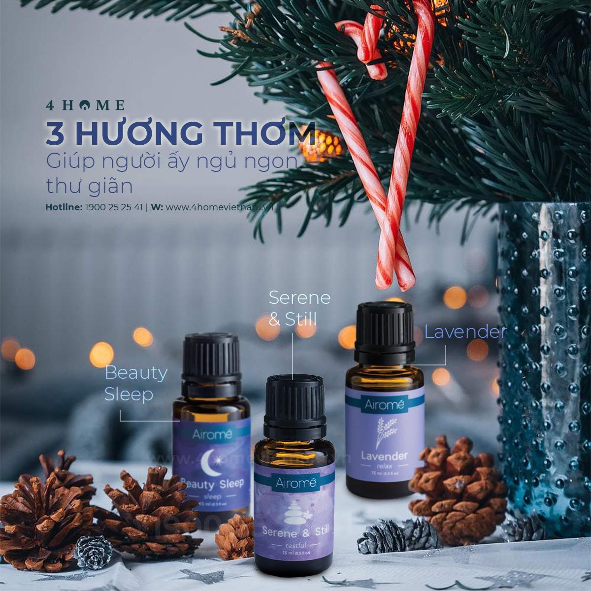 3 hương thơm giúp ngủ ngon và thư giãn 3 hương thơm giúp ngủ ngon và thư giãn