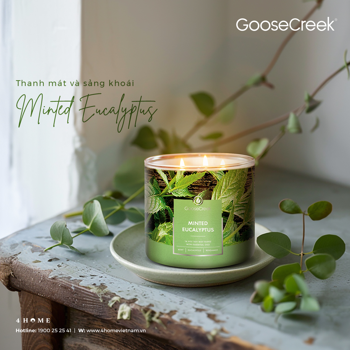MINTED EUCALYPTUS - MÙI HƯƠNG THANH MÁT & SẢNG KHOÁI MINTED EUCALYPTUS - MÙI HƯƠNG THANH MÁT & SẢNG KHOÁI