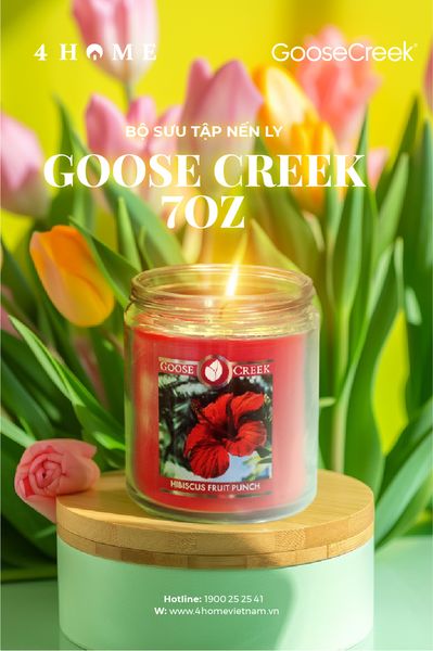 Nến ly 7oz sáp đậu nành Goose Creek Nến ly 7oz sáp đậu nành Goose Creek