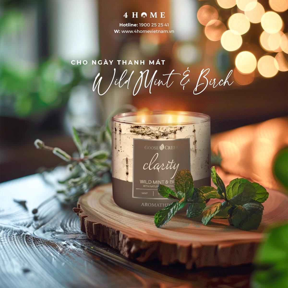 Nến Ly Ba Bấc Sáp Đậu Nành Wild Mint & Birch Nến Ly Ba Bấc Sáp Đậu Nành Wild Mint & Birch