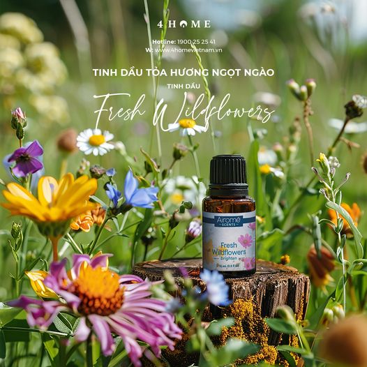 TINH DẦU FRESH WILDFLOWER TINH DẦU FRESH WILDFLOWER