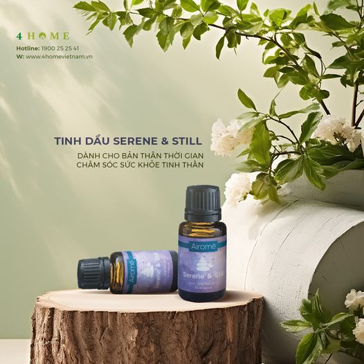 Tinh Dầu Serene & Still - Giải Pháp Cho Sức Khỏe Tinh Thần Tinh Dầu Serene & Still - Giải Pháp Cho Sức Khỏe Tinh Thần