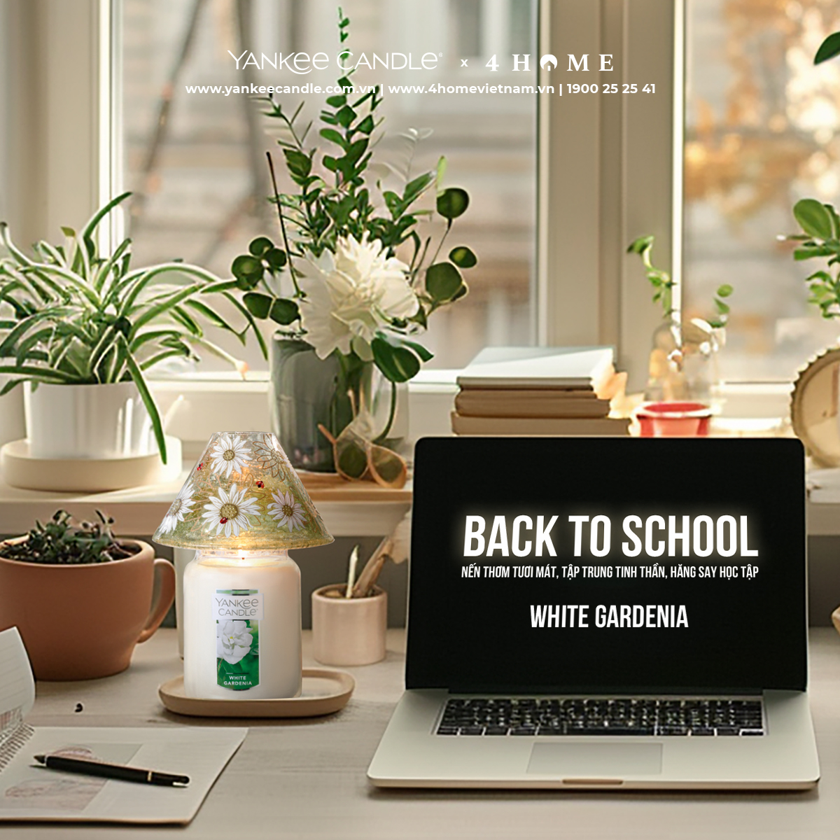 WHITE GARDENIA - TĂNG KHẢ NĂNG TẬP TRUNG, HĂNG SAY HỌC TẬP WHITE GARDENIA - TĂNG KHẢ NĂNG TẬP TRUNG, HĂNG SAY HỌC TẬP