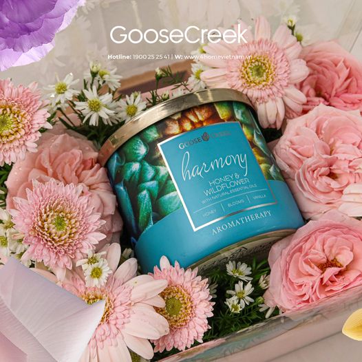 Hoa xinh khoe sắc rạng ngời. Nến thơm lãng mạn cho người mình yêu! Hoa xinh khoe sắc rạng ngời. Nến thơm lãng mạn cho người mình yêu!