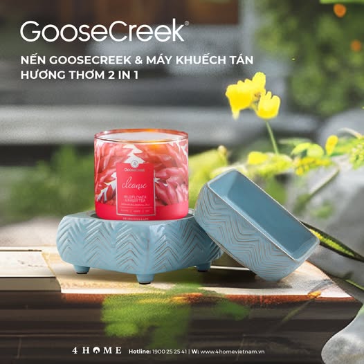 WILDFLOWER GINGER TEA - HƯƠNG TRÀ ẤM CHO TÂM HỒN THƯ THÁI WILDFLOWER GINGER TEA - HƯƠNG TRÀ ẤM CHO TÂM HỒN THƯ THÁI