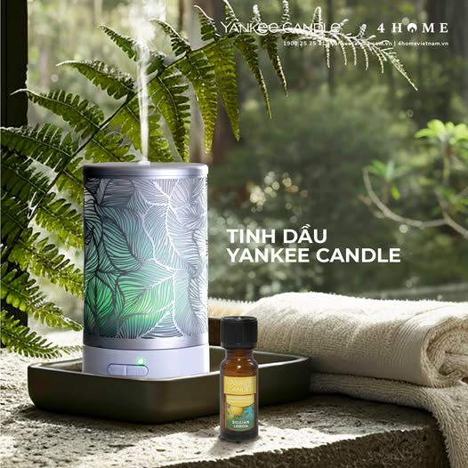 KHỬ MÙI & THANH LỌC KHÔNG KHÍ HIỆU QUẢ VỚI TINH DẦU SICILIAN LEMON KHỬ MÙI & THANH LỌC KHÔNG KHÍ HIỆU QUẢ VỚI TINH DẦU SICILIAN LEMON