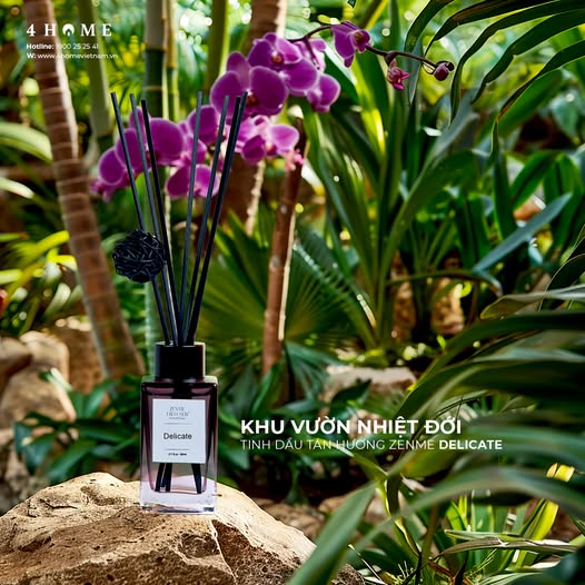 TINH DẦU TÁN HƯƠNG ZENME DELICATE TINH DẦU TÁN HƯƠNG ZENME DELICATE