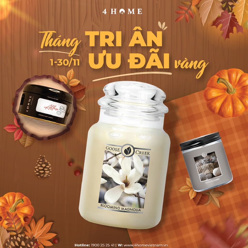 ️THÁNG TRI ÂN - ƯU ĐÃI VÀNG ️THÁNG TRI ÂN - ƯU ĐÃI VÀNG