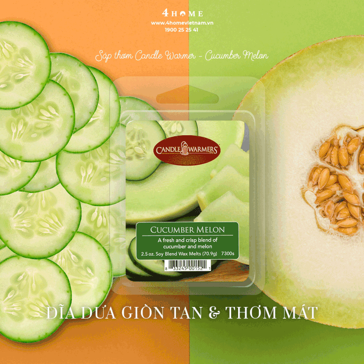 SÁP THƠM CUCUMBER MELON - ĐĨA DƯA LƯỚI GIÒN TAN & TƯƠI MÁT SÁP THƠM CUCUMBER MELON - ĐĨA DƯA LƯỚI GIÒN TAN & TƯƠI MÁT