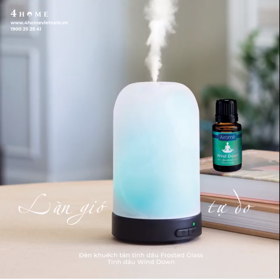 HƯƠNG THƠM TINH DẦU GIÚP THƯ GIÃN & GIẢI TỎA STRESS HƯƠNG THƠM TINH DẦU GIÚP THƯ GIÃN & GIẢI TỎA STRESS